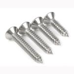 SUS304 SUS316 Cross Recessed Countersunk Head Screw GB846 Countersunk Head