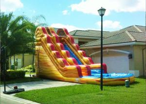 Wholesale Volcano Blow Up Water Slide , Outdoor Pool Slide Inflatable Lead Free from china suppliers