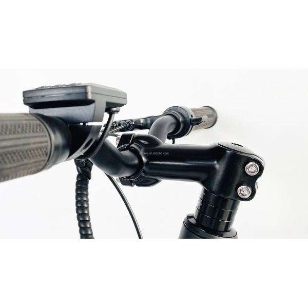 Hidden Battery 36V10AH Lithium Battery 250W Bafang Motor 25KM/H Single Speed Electric Bike