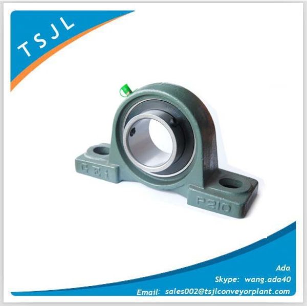 UCP210 D1 pillow block bearing