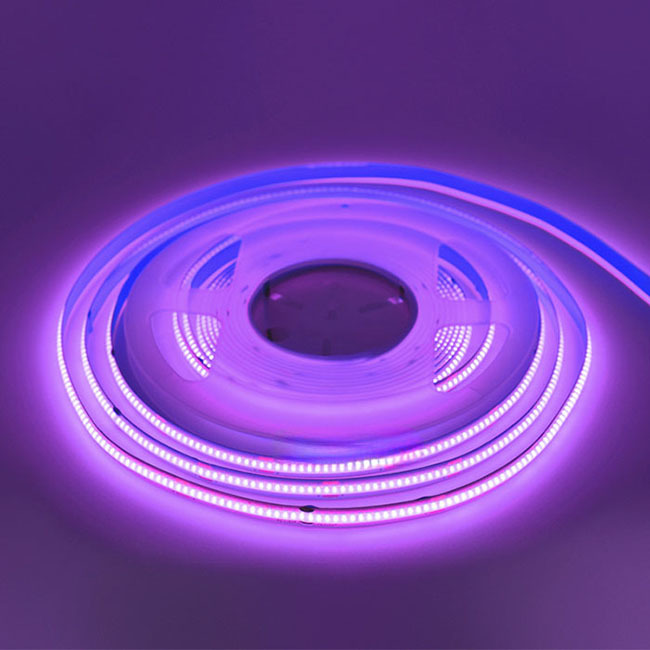 800lm/m Luminous Flux Cob Light Strip Dimmable 24v Single Color 8mm Warranty 3 Years