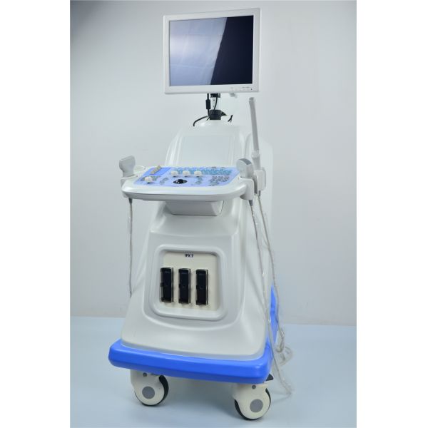 Windows Xp System Portable Doppler Ultrasound Machine Trolley Type 15 Inch Display