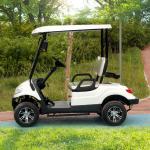 2 Passenger Terminator 48V Electric Golf Cart New Energy 5KW OEM