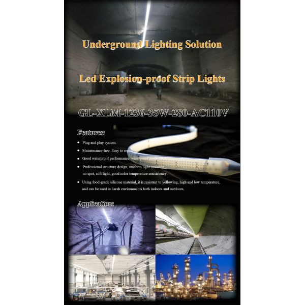 China Led Strips Remote Controlled 2835 Led Strip With Long lifespan